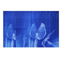 Load image into Gallery viewer, 2