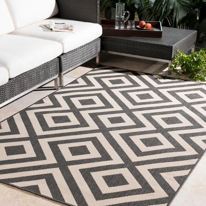 Indoor / Outdoor Area Rug